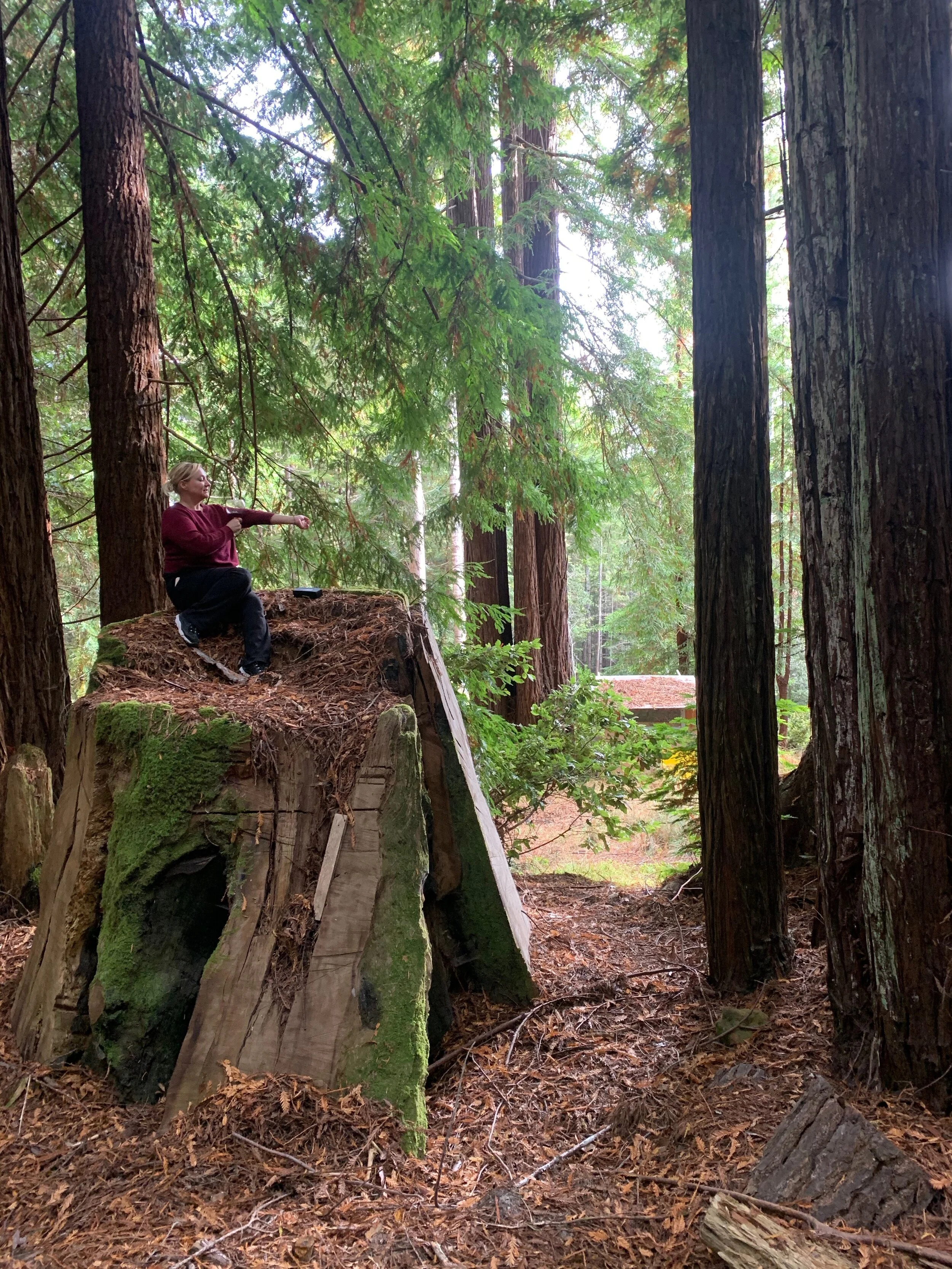 Navarro Ridge scenery